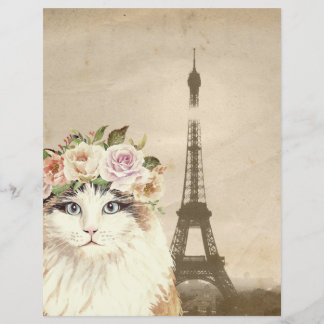 Fancy Cat & Eiffelturm Scrapbook Papier