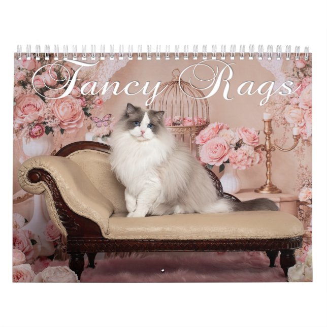 Fancy Rags 12-Monats-Kalender Kalender (Titelbild)