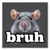 Fancy-Ratte-Nagetierbesitzer-Meme Bruh Haustier-Ra
