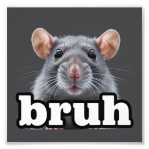 Fancy-Ratte-Nagetierbesitzer-Meme Bruh Haustier Ra Fotodruck