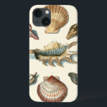 Fancy Shell Beach iPhone 13 Hülle<br><div class="desc">George Wolfgang Knorr is known for the delicate detail and precision of his illustrations of shells and starfish. His Drawings were 2 beeinflussced by his own interest in science,  a popular subjet matter of his era.</div>