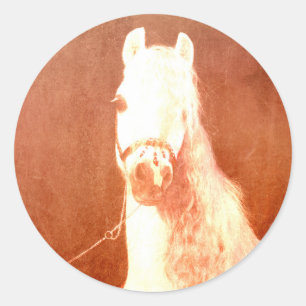 Fancy White Circus Pony im Vintage Gypsy-Stil Runder Aufkleber