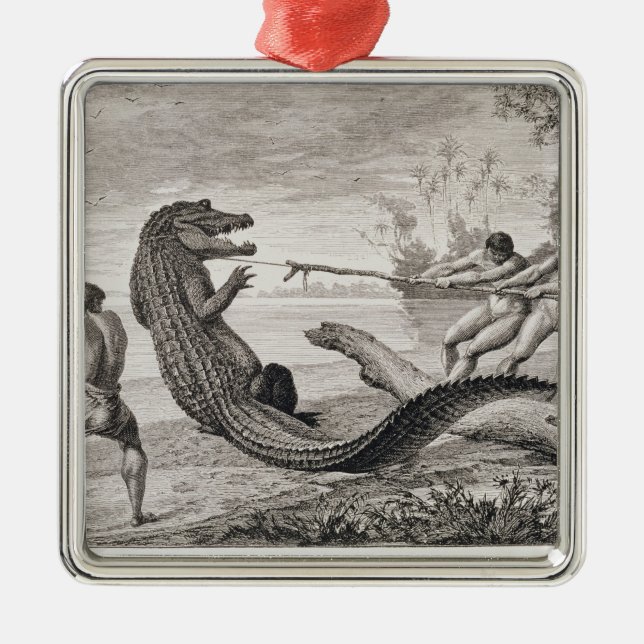 Fangen eines Alligators mit Lasso Silbernes Ornament (Vorne)