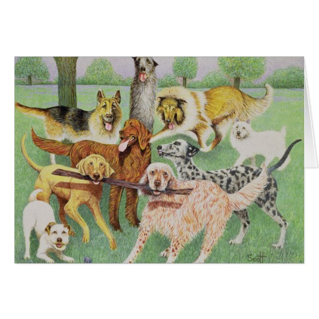 Fangen Sie und tragen Sie (Vorderseite (Horizontal))