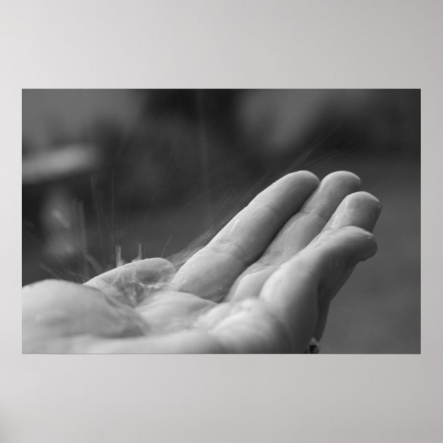 Fanggeruch Poster (Vorne)