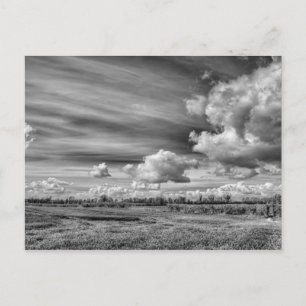 Fangwolken (B&W) Postkarte