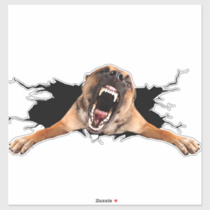 Fanny Hund Gesichtsaufkleber Aufkleber