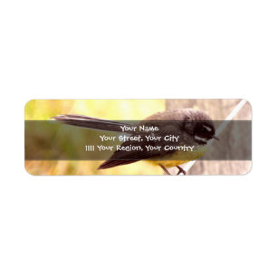 Fantail