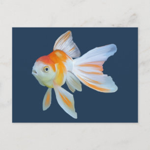 Fantail Goldfish Watercolor Postkarte