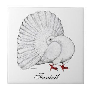 Fantail Pigeon White Fliese