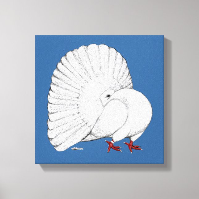 Fantail Pigeon White Leinwanddruck (Vorderseite)
