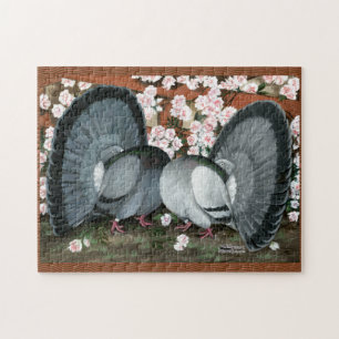 Fantail Pions Matched Pair Puzzle
