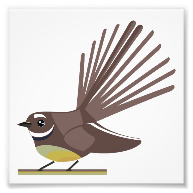 Fantail Piwakawakaka NZ BIRD Fotodruck (Vorne)