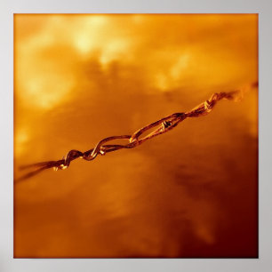 Fantasia Wire in Orange Poster