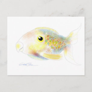 Fantasie-Fische: Polly Postkarten