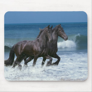 Fantasie-Pferde: Friesische Rinder u. Meer Mousepad