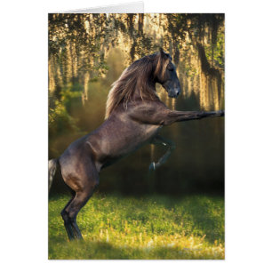 Fantasie-Pferde: Kriegers-Prinz