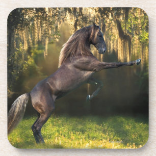 Fantasie-Pferde: Kriegers-Prinz Untersetzer