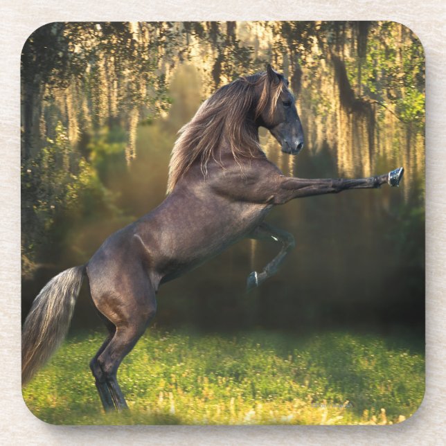 Fantasie-Pferde: Kriegers-Prinz Untersetzer (Vorderseite)