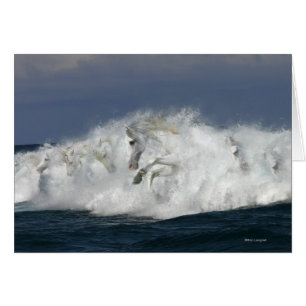 Fantasie-Pferde: Meer