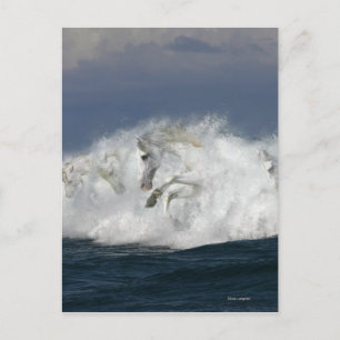 Fantasie-Pferde: Meer Postkarte