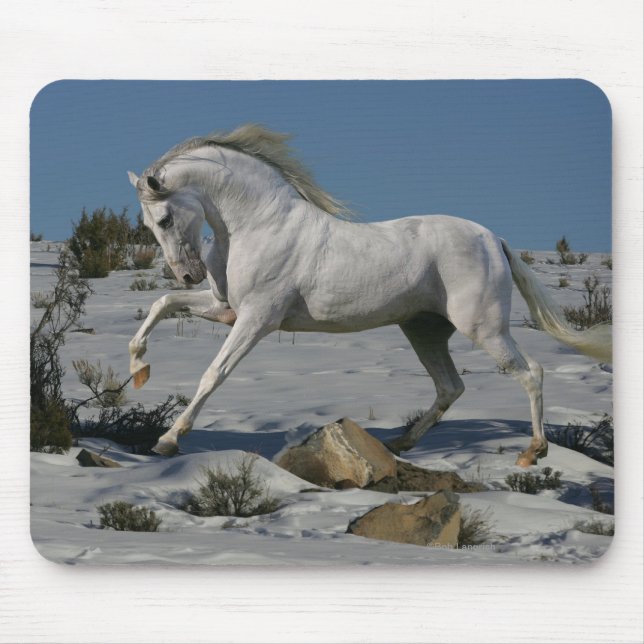 Fantasie-Pferde: Schnee-König Mousepad (Vorne)