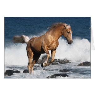 Fantasie-Pferde: Sommer-Spritzen