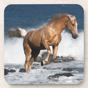 Fantasie-Pferde: Sommer-Spritzen Untersetzer