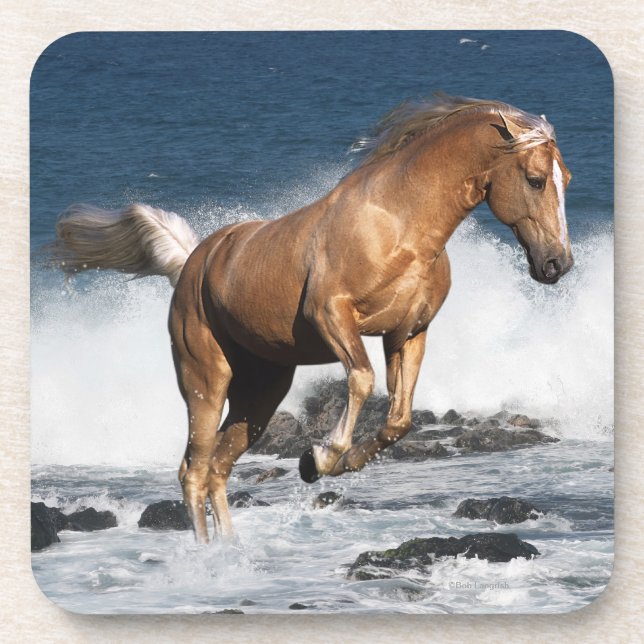 Fantasie-Pferde: Sommer-Spritzen Untersetzer (Vorderseite)