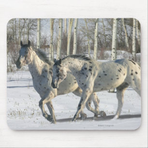 Fantasie-Pferde: Winter-Märchenland Mousepad