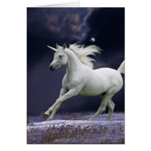 Fantasiepferde: Einhorn