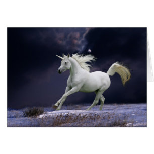 Fantasiepferde: Einhorn