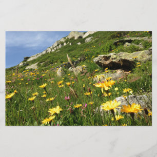 Fantastisch! Alpenische Blume