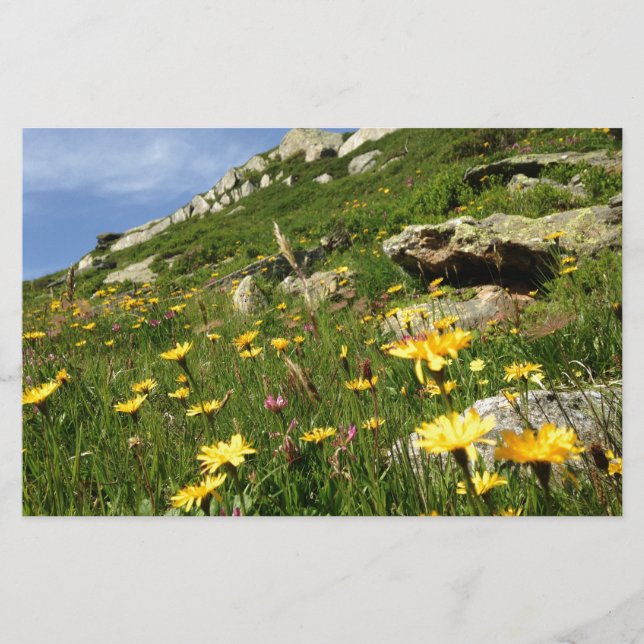 Fantastisch! Alpenische Blume (Vorderseite)