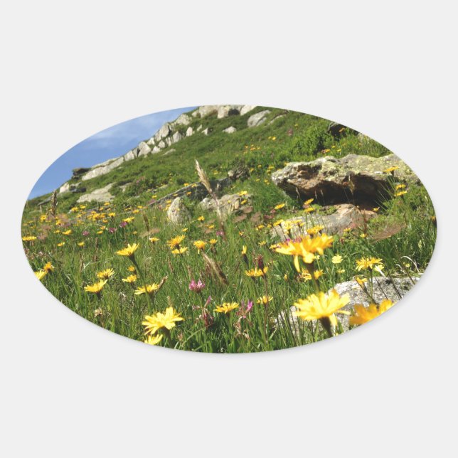 Fantastisch! Alpenische Blume Ovaler Aufkleber (Vorderseite)