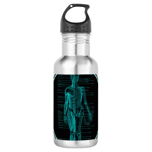 Fantastische Anatomie: Menschlicher Trinkflasche (Vorderseite)