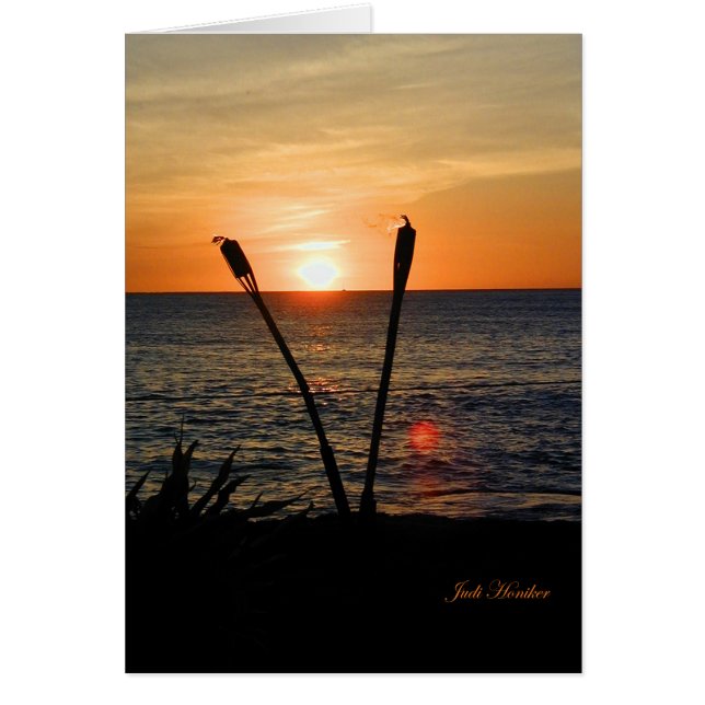 Fantastische Anmut (Vorne)