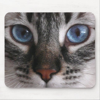 "Fantastische blaue Augen" Kitty-Mausunterlage Mousepad