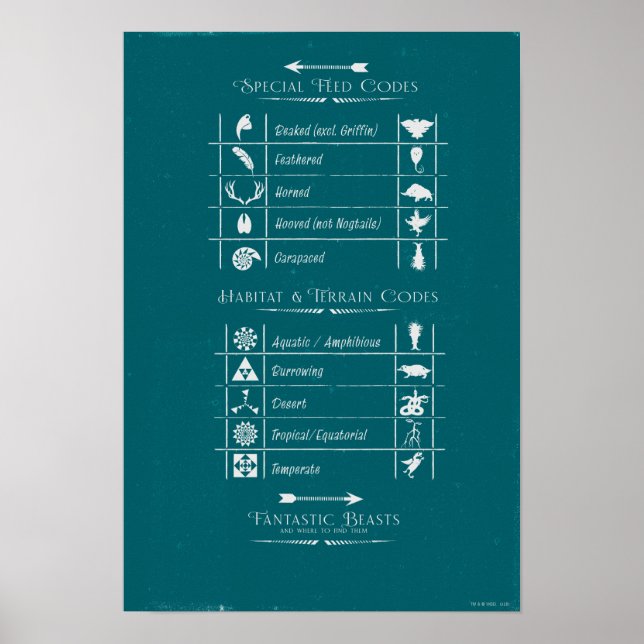 FANTASTISCHE KÄSTE UND WO SIE FINDEN SIE™Code-Char Poster (Vorne)