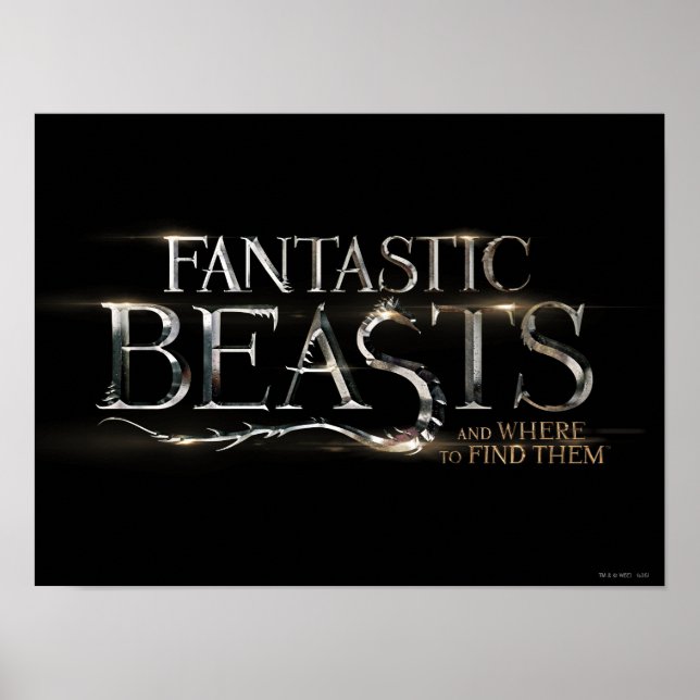 FANTASTISCHE KÄSTE UND WO SIE IHR Logo FINDEN KÖNN Poster (Vorne)