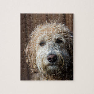 Fantastische Labradoodle Welpengeschenke Puzzle