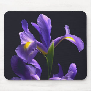Fantastische, lila Iris Mousepad