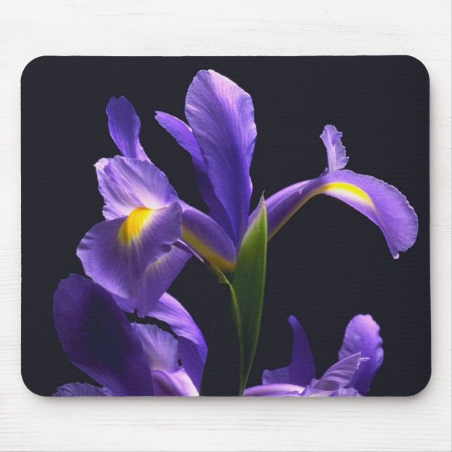Fantastische, lila Iris Mousepad (Vorne)