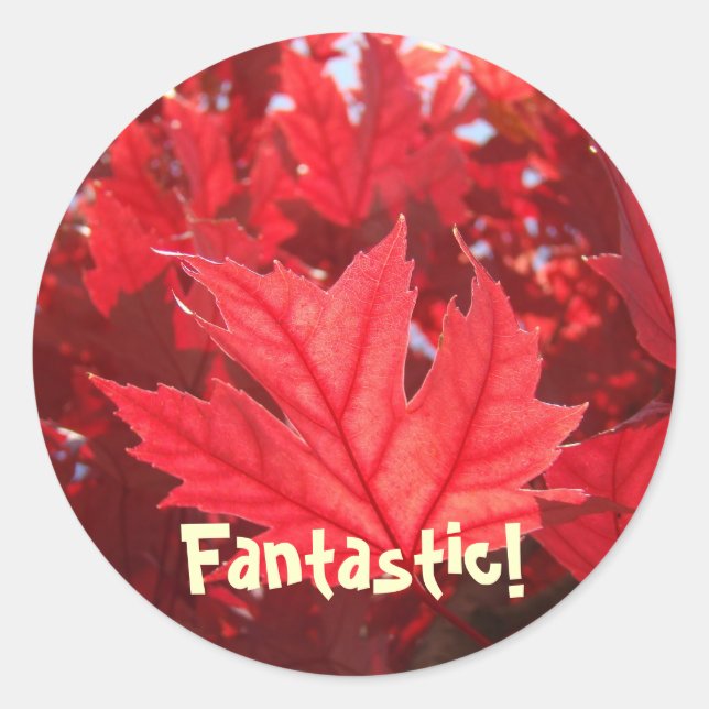 Fantastische Rote Herbstleaf Aufkleber Blätter Nat (Vorderseite)
