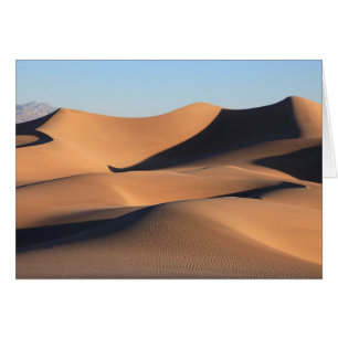 Fantastische Schatten der Wüste