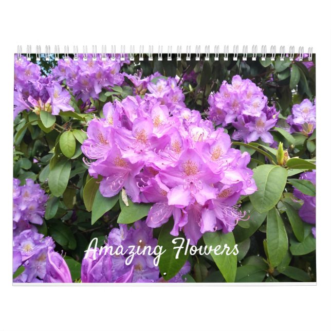 Fantastischer Blumen-Wandkalender Kalender (Titelbild)