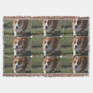 Fantastischer Corgi Decke