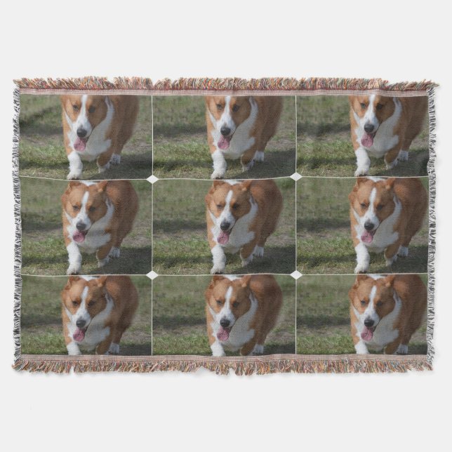 Fantastischer Corgi Decke (Vorderseite)