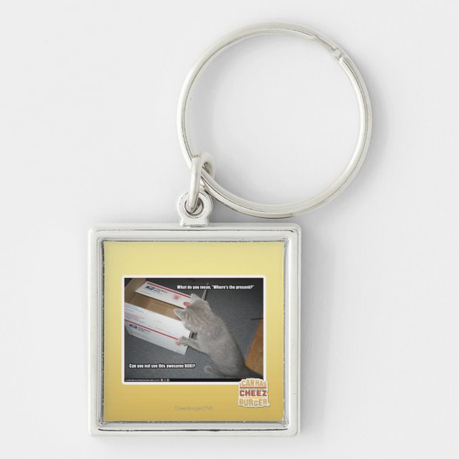 Fantastischer Kasten Schlüsselanhänger (Vorne)