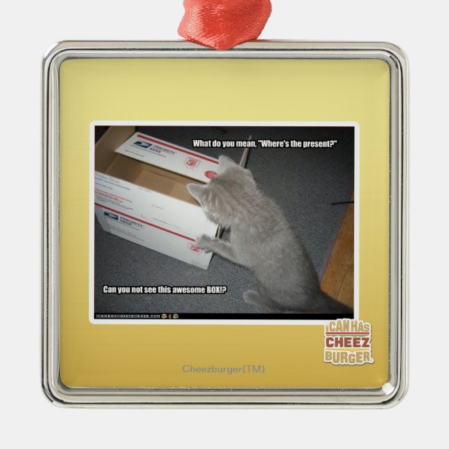 Fantastischer Kasten Silbernes Ornament (Vorne)